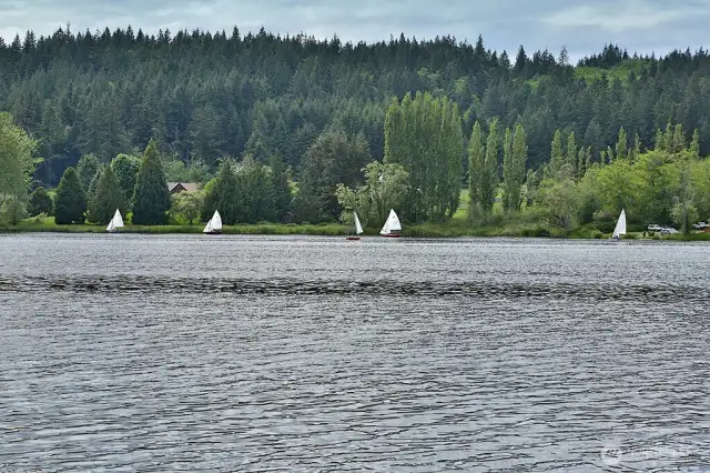 Watch sailing lessons and paddle boats on calming Lone Lake.