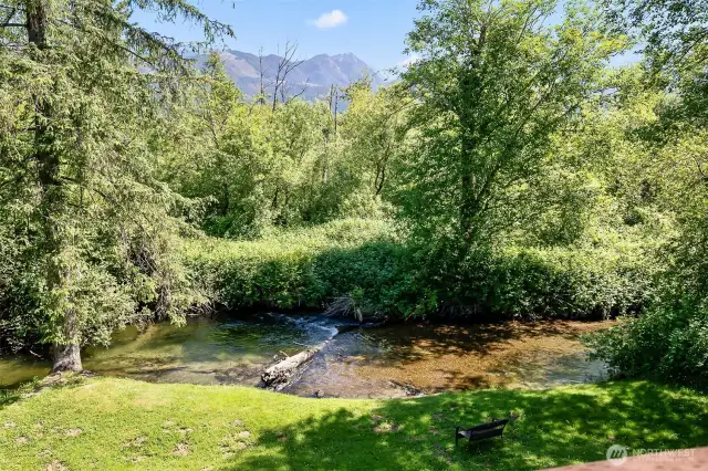 view from deck