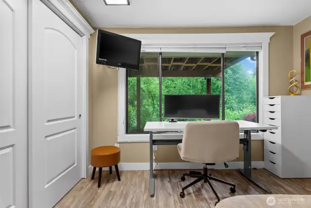 Lower level 2nd bedroom