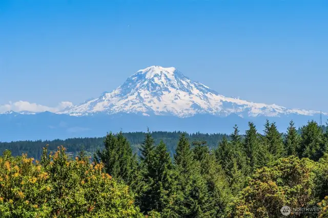 Spectacular views of Mount Rainier will delight and inspire you in this sweet Maury Island home.