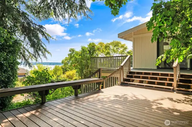 Looking back to the house from the big "tree-house" deck. So much room here for parties or convivial dinners.