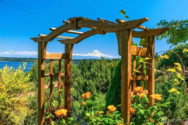 The garden is magical, too. The owner is a wondrous gardener and there are many happy plants here!