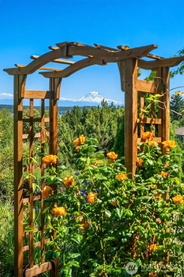 What a view to enjoy while smelling the roses!