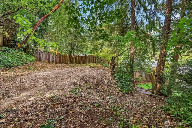 Additional Yard Space