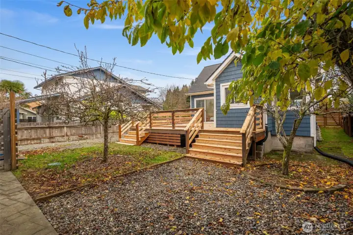 The two trees next to the deck are Bartlett pears, and they are quite good. So good I discovered deer eating the fallen fruit in September! Deer are regular visitors to this neighborhood!