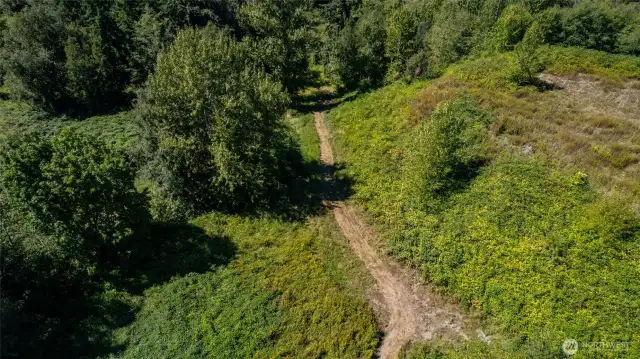 Path on down to the lower portion of the property. 3.93 acres of land. The infill took kit permits up to 51 units on this property. However, with critical areas and easements, it's doubtful one can get that many but you can certainly build several units on this property.