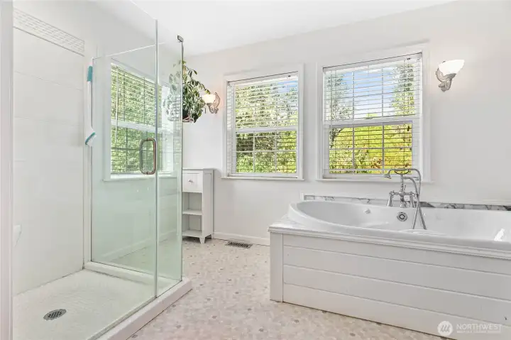 Whole other space in main floor bathroom w/relaxing spa tub, newer shower surround & tons of natural light