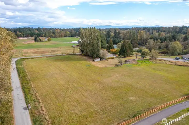 All that pastureland, what will you do with it?