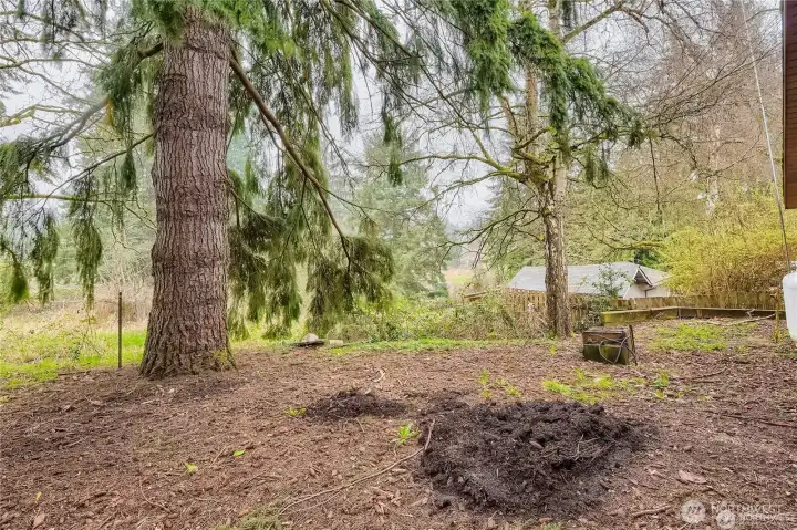 Additional yard view