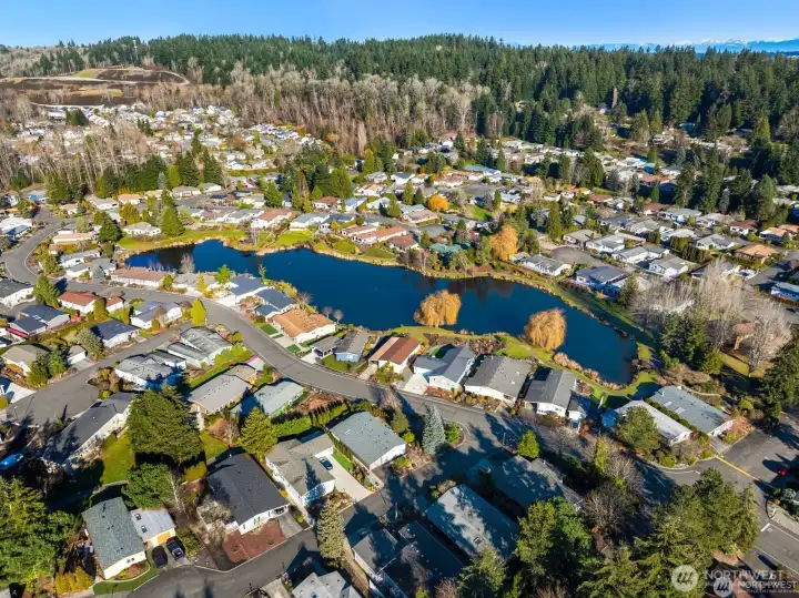 Drone view of community