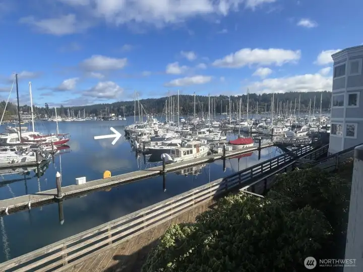 View of Murphy’s Landing Marina showcasing the waterfront boardwalk and surrounding condos.