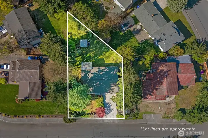 Aerial mapping