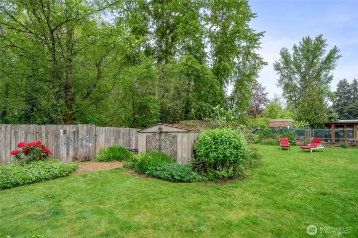 Fully fenced yard