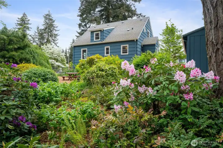 Lush mature landscaping