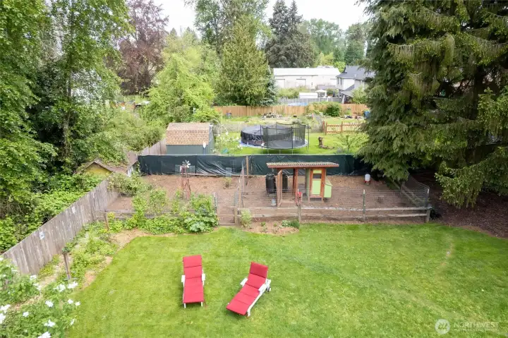 Garden space, berries,  play area, heritage pear tree and more