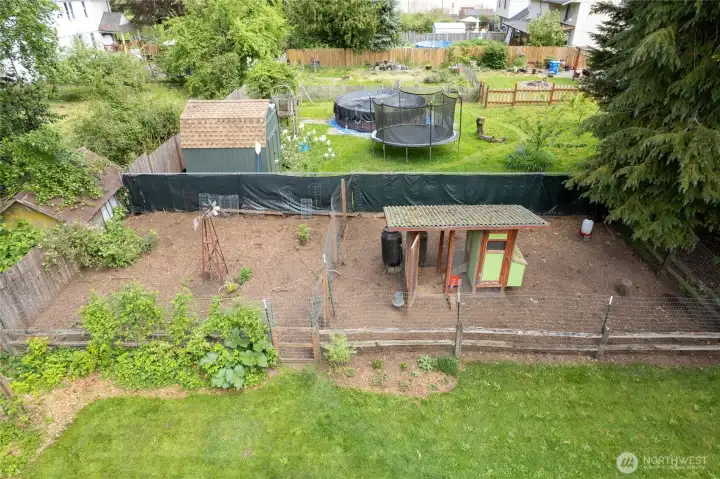 Fenced area for garden or chickens