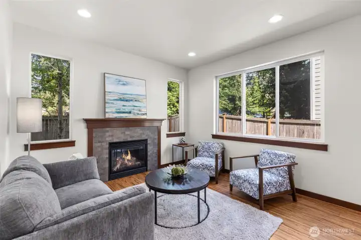 Cozy Living room