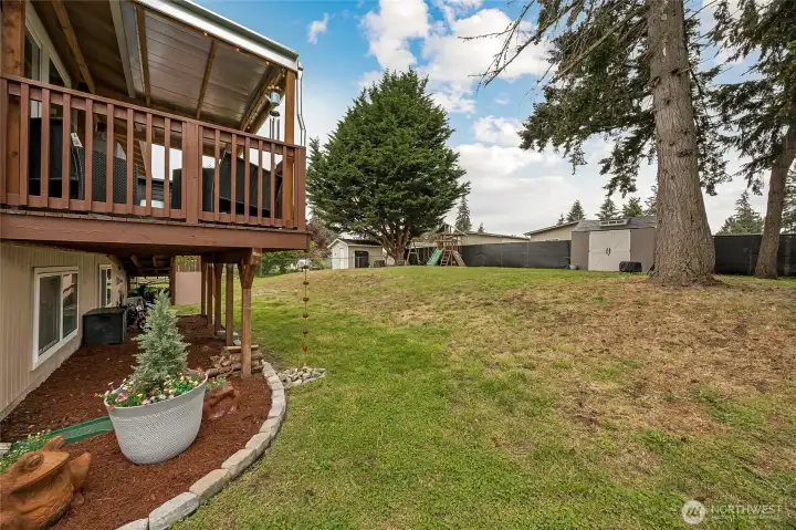 Large backyard Large backyard