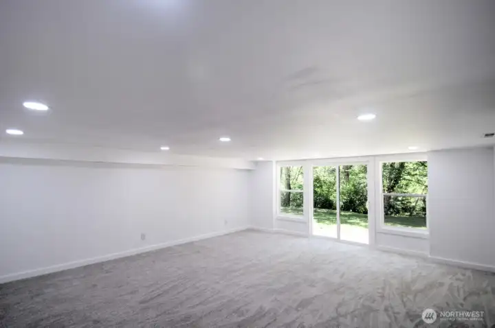 Fully finished daylight flex room/family room Fully finished daylight flex room/family room
