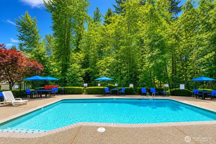Relax, unwind, and enjoy sunny days at the Sundance Clubhouse swimming pool. Relax, unwind, and enjoy sunny days at the Sundance Clubhouse swimming pool.