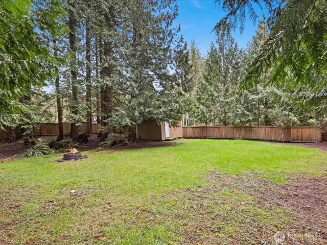 Fire pit and large backyard