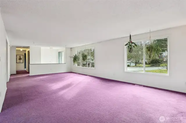 Large Living room with south facing widows.