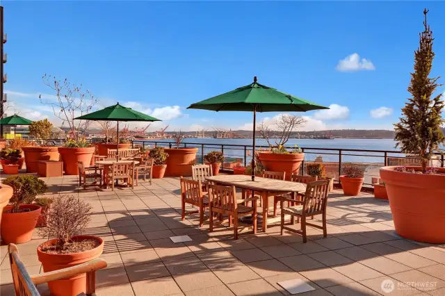 Another view of the roof top deck & garden  terrace.
