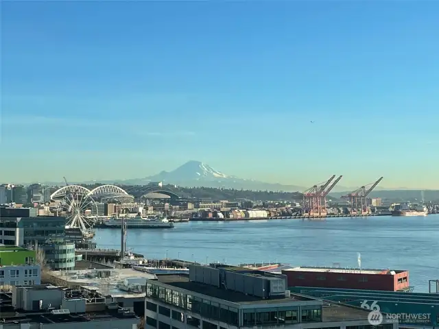 More view from the roof deck & terrace!