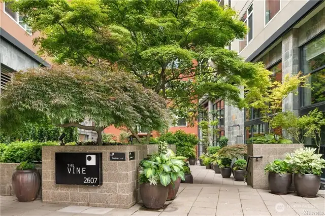 The Vine courtyard entry is very pretty &  another nice place to relax.