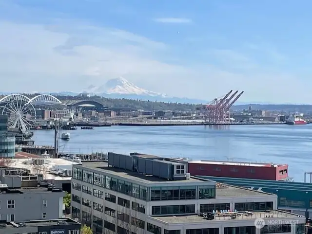 View of Mt Rainier from the unit