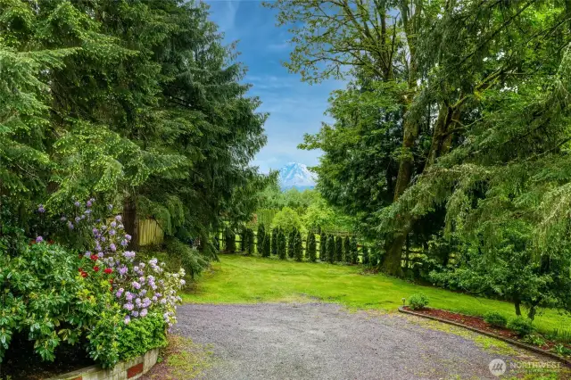 Mt. Rainier in all its splendor. View can be widened with the trimming of evergreen limbs, which all are on the property