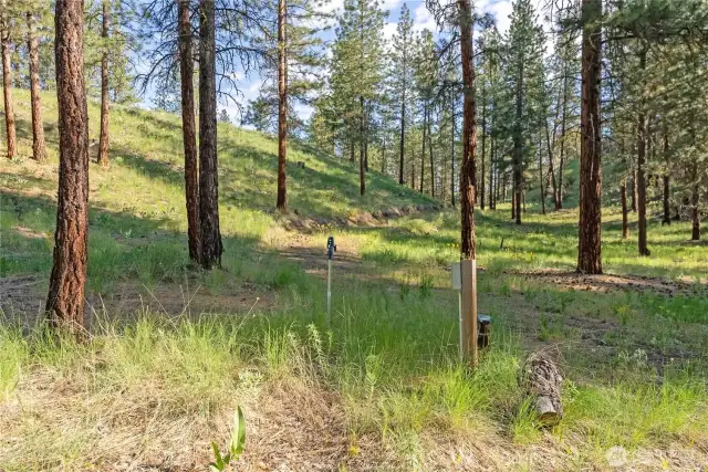 Drive right to your campspot. Or put in a Workshop/garage