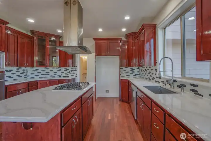 Chef kitchen w/ slab quartz countertop
