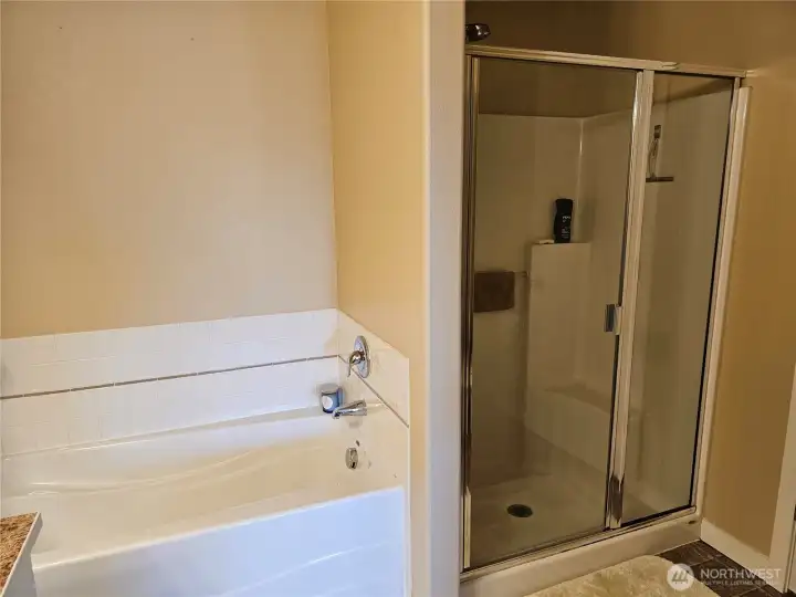 Soaking tub and shower