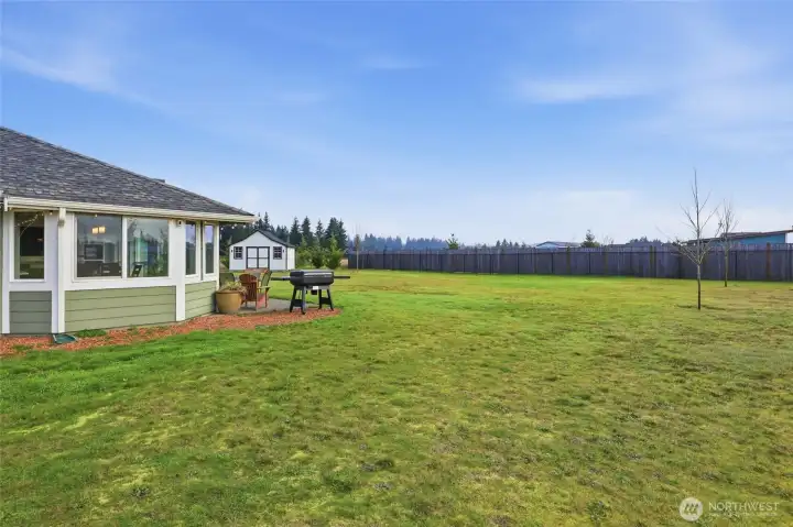 South side of the property has fruit orchard, with 6 fruit trees (one seen here)-- 2 plum, 2 Asian pear, 2 apple!