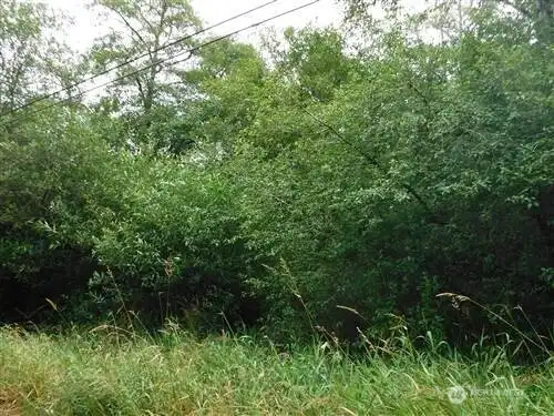 View from Willows Rd.