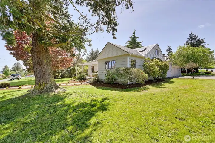 Side yard