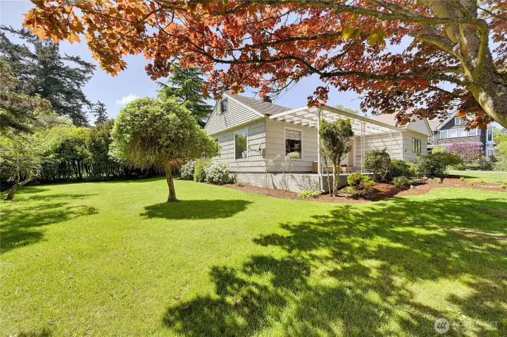 Side yard