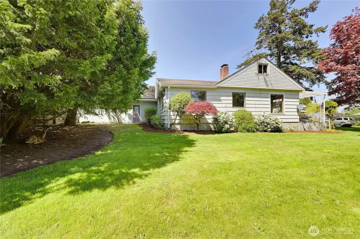 Side/back yard