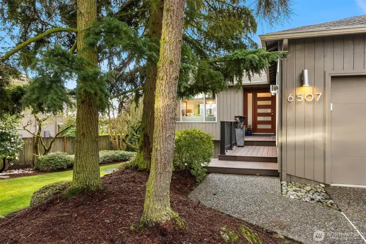 The professionally landscaped, nearly 12,000 sq ft lot showcases Camelias, Rhododendrons, Azaleas, Roses and a magnificent Magnolia tree in the back yard. The professionally landscaped, nearly 12,000 sq ft lot showcases Camelias, Rhododendrons, Azaleas, Roses and a magnificent Magnolia tree in the back yard.