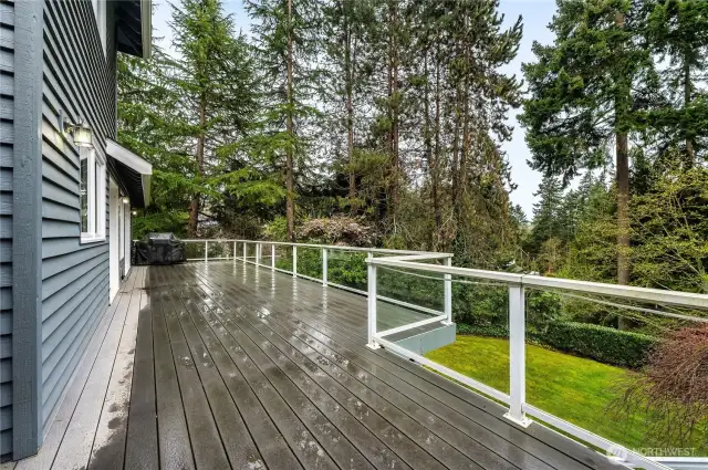 Large sunny deck with hot tub