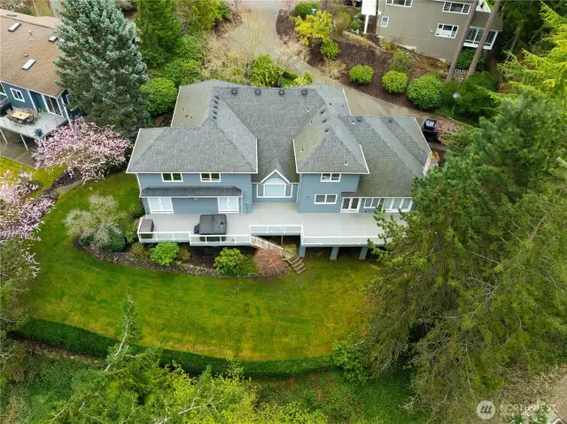Aerial rear view