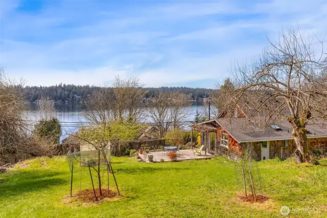 Open Space with Fruit Trees