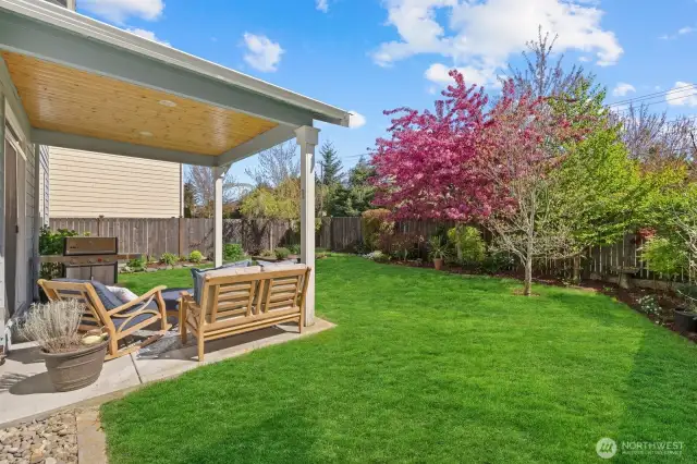 Backyard fully landscaped