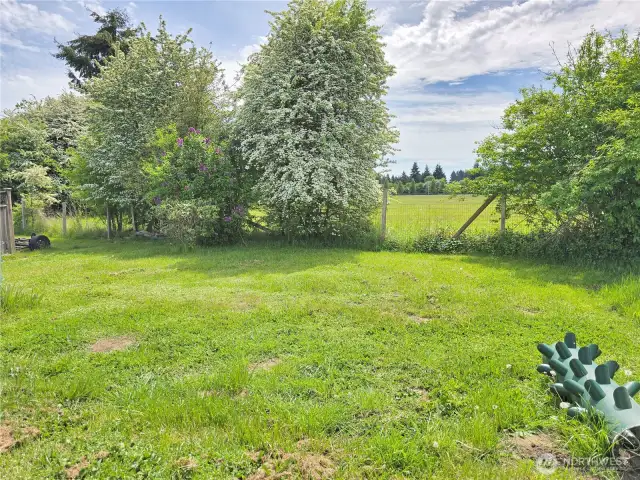 Back yard with garden area. There is established rhubarb and raspberry plants. You could smell the lilac as soon as you entered the back yard.