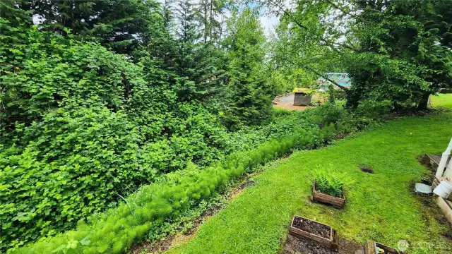 From the back deck.