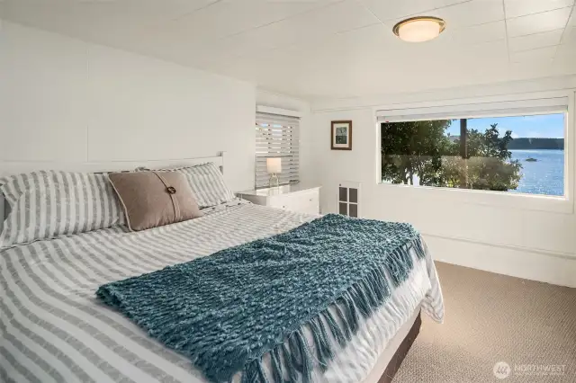 Lower level bedroom with a view.