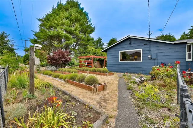 Beautiful front yard