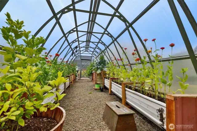 Amazing Greenhouse