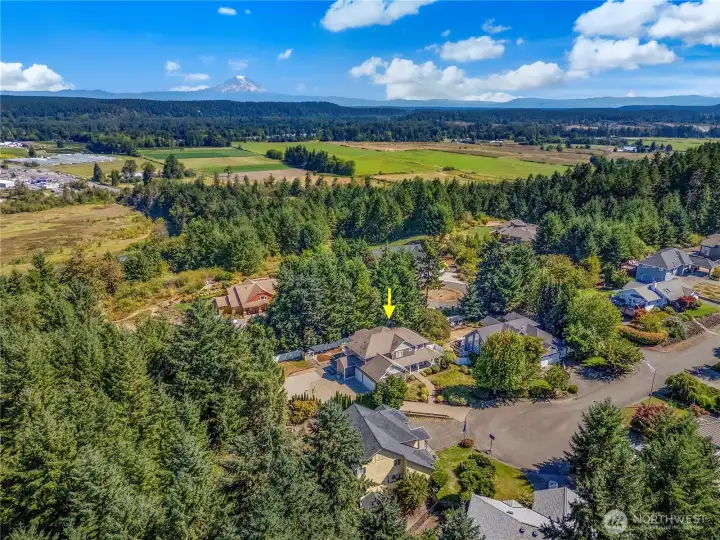 Experience the tranquility of a quiet neighborhood while enjoying the convenience of easy access to community amenities, the beautiful Nisqually Valley, downtown Olympia, JBLM and just minutes to I-5.